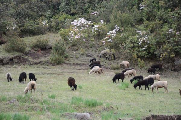 神秘的大涼山 神秘的大涼山