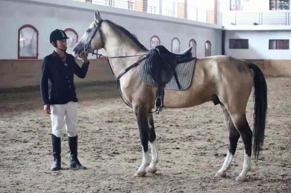 美妙夏日，世界四大草原之一，最好吃的羊肉，錫林郭勒自駕攻略