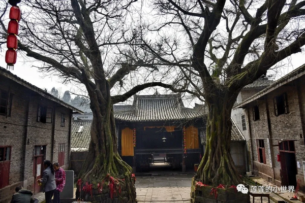 尋古蹟的蓮蓮:神秘洞穴 | 古郪國消逝後的郪江崖墓群 尋古蹟的蓮蓮:神秘洞穴 | 古郪國消逝後的郪江崖墓群