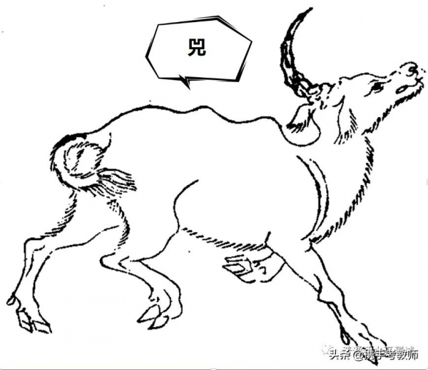 “兕”怎麼讀？