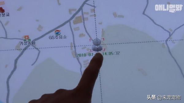 狗媽生了50只一模一樣的狗崽...裝監控、DNA鑑定只為找出渣爹 狗媽生了50只一模一樣的狗崽...裝監控、DNA鑑定只為找出渣爹