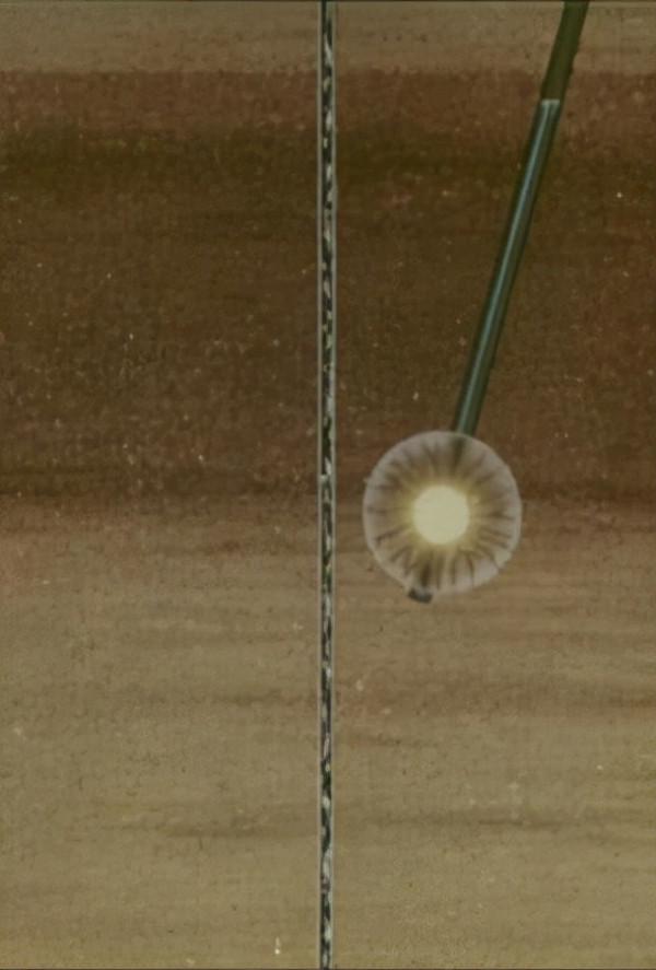 土庫曼總統下令&OpenCurlyDoubleQuote;關閉地獄之門&rdquo;，網友提議用核彈滅火可行嗎