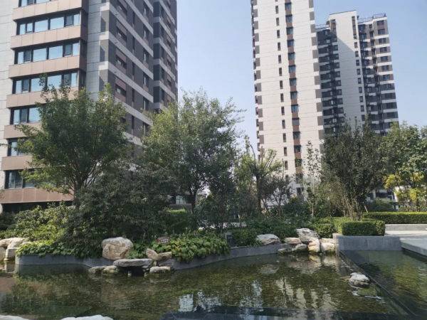 網籤均價58167元/㎡ 5年後二手房57748元/㎡ 這個地鐵盤有點尷尬 網籤均價58167元/㎡ 5年後二手房57748元/㎡ 這個地鐵盤有點尷尬