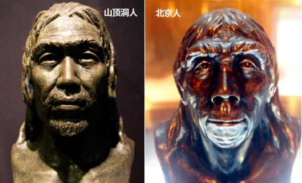 發現新人種?!人類祖先喜提新成員 發現新人種?!人類祖先喜提新成員