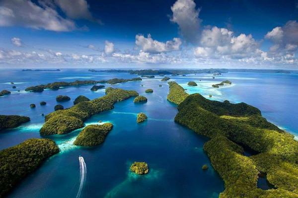 大洋彼岸的國家，充滿神秘色彩和恐怖美食的帛琉