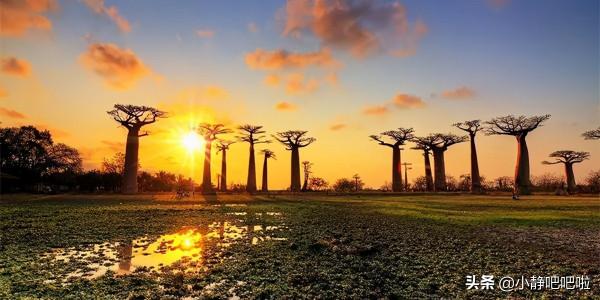 你不知道的20條國家冷知識——“奇妙的”馬達加斯加