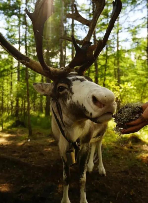 中國最壕高鐵列車：耗資上億，一張票超過6萬