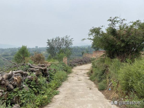 山西中部山村，人口不到百人，留守老人勤勞樂觀—汾陽市馬家社村