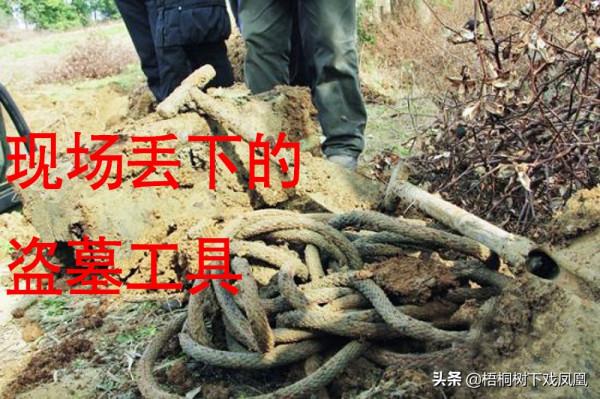 全國重點文物保護範圍內古墓被盜,護墓員不敢上報,自己填了盜洞 全國重點文物保護範圍內古墓被盜,護墓員不敢上報,自己填了盜洞