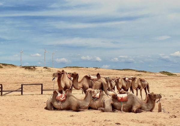 身處江南的江西，竟然還隱藏著這麼一大片沙漠