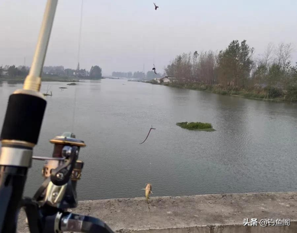 冬季的懶人釣法,筏竿串鉤掛蚯蚓遠投,鯽魚躲進深水也怕 冬季的懶人釣法,筏竿串鉤掛蚯蚓遠投,鯽魚躲進深水也怕