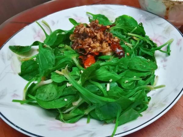 春天挖野菜，這些解膩清油的小嫩苗千萬別錯過
