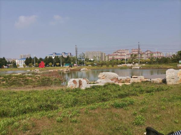 淄川南部森林公園