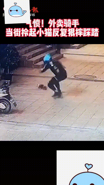 外賣騎手虐貓，被監控全程拍下