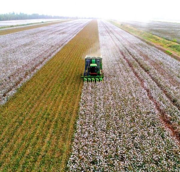 又到一年秋收時，農民朋友捂住口袋，別讓騙子騙去辛苦錢