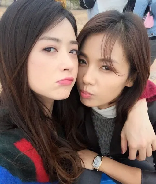 娛樂圈的塑膠姐妹，踩閨蜜上位、同臺零交流，一個比一個戲精