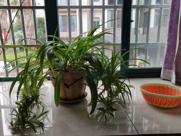 孩子的壞習慣其實就是媽媽慣出來的 孩子的壞習慣其實就是媽媽慣出來的