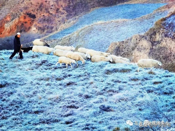 冬日雪景 感“霧”東鄉