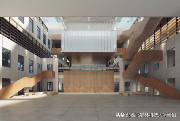 央視“點名”關注!陝西這所高校的全魚宴、巧克力饅頭饞哭網友 央視“點名”關注!陝西這所高校的全魚宴、巧克力饅頭饞哭網友