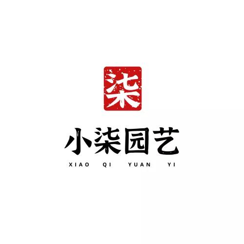 養花日常之五彩石竹