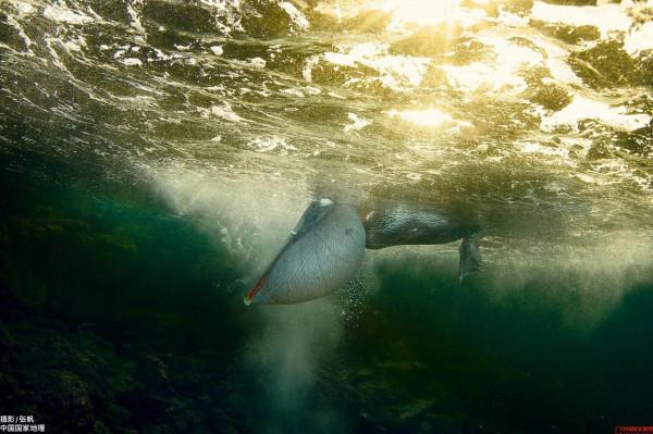 《國家地理》領略自然風光六