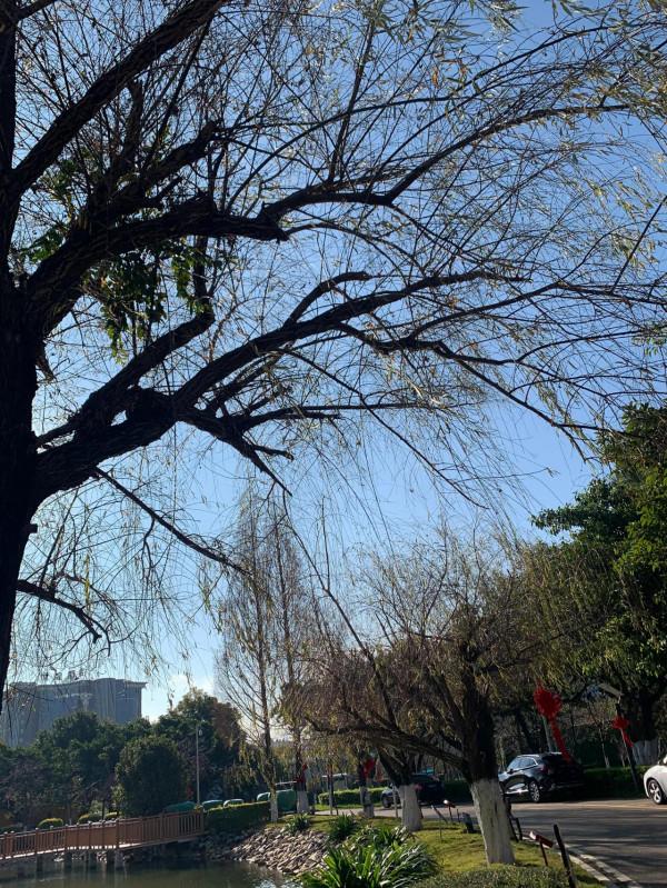 我的第一次～十公里慢跑小記