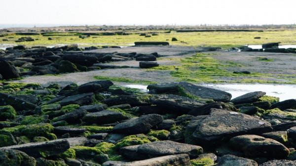 一個人來北海看海了 一個人來北海看海了