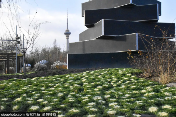 冬天不想宅在家?北京這些地方,依然綠意蔥蘢! 冬天不想宅在家?北京這些地方,依然綠意蔥蘢!