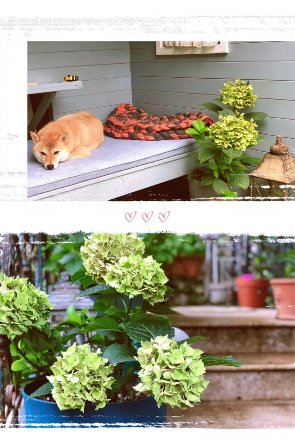 要穿的像你自己而不是像你的年齡 | 趙丹軍私服分享 要穿的像你自己而不是像你的年齡 | 趙丹軍私服分享