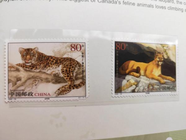 我的郵票收藏 我的郵票收藏