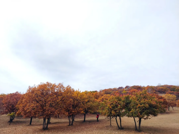 國慶假期我們去了這6個地方，遠近皆有，人少不扎堆，風景獨特