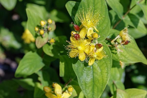 巨蟹座周運勢9.20-26,憑藉吃苦耐勞,知識與實踐,完成財富積累 巨蟹座周運勢9.20-26,憑藉吃苦耐勞,知識與實踐,完成財富積累