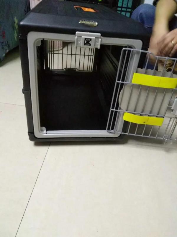 米莎，真的相忘於江湖嗎？