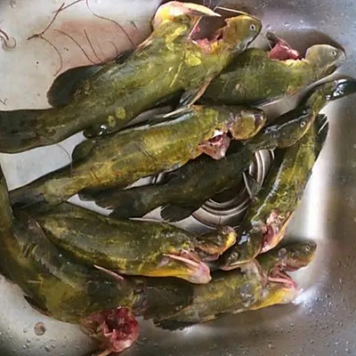 這道家喻戶曉的嘎魚豆腐是怎麼做的呢？