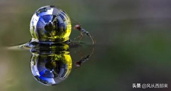 霜降 | 蝸居的風水