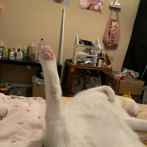 全球日增確診超45萬！留學德國的女兒靠什麼熬到現在的？