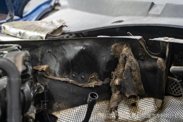 掌控時光｜修復一臺大眾途銳，心之所向處激宕千里讓逍遙自在眼前