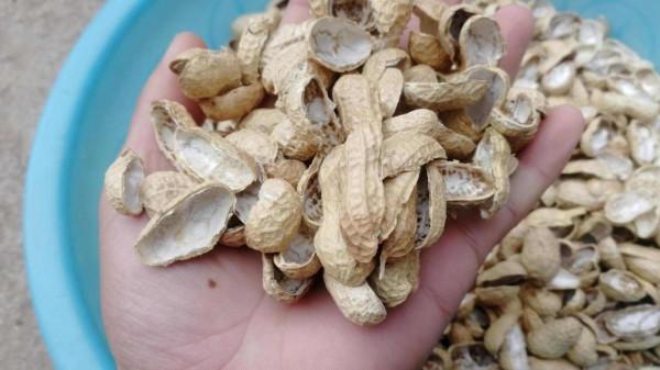 8種“廢物”不要扔，拿個罐子，封裝泡水，可以用來澆花當施肥