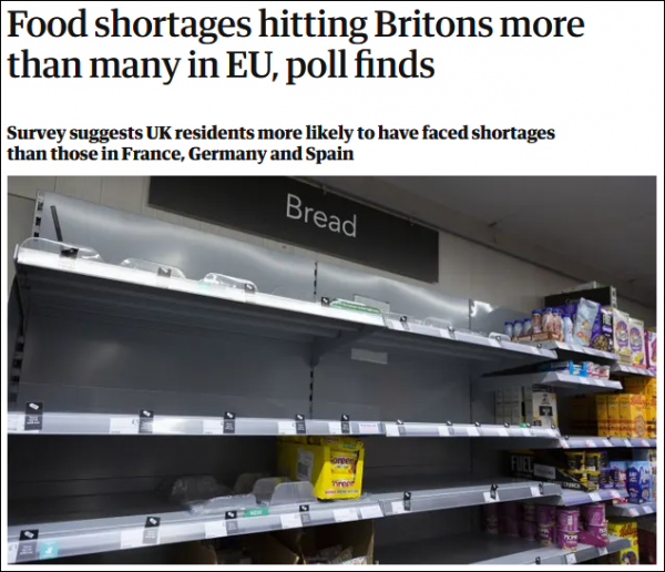 聖誕節即將到來：供應鏈危機導致歐美多國食品等物資短缺，寵物食品遭遇同樣問題