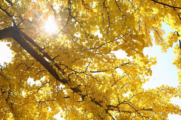 人到中年，需要一個知心人