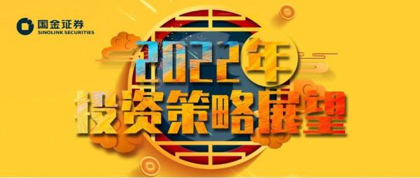 「國金新能源」2022年光伏行業年度策略：看好供給瓶頸...