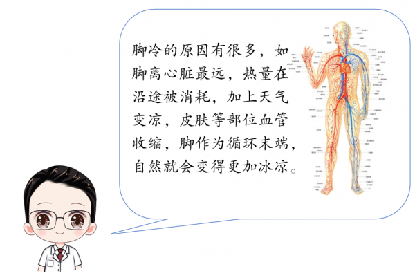 冬天腳涼?警惕血管病變 冬天腳涼?警惕血管病變