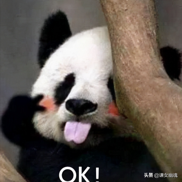 人類索取動物：對憐憫偏好最低的動物是人嗎？又或者說人最殘忍