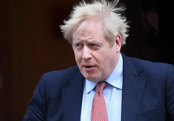 狗狗能有什麼壞心思？為了減少碳排放，英國議員呼籲改養小型犬