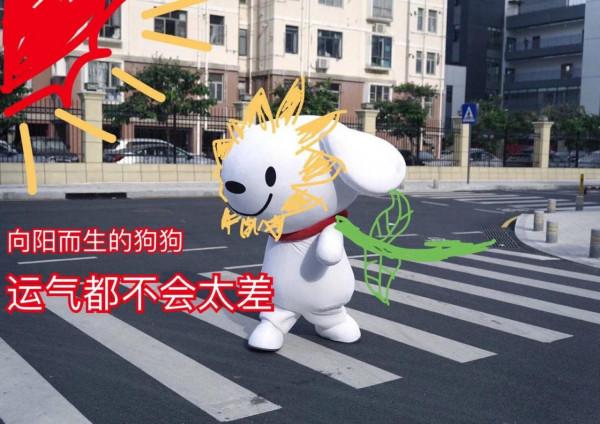 今天被一條狗狗治癒了不開心