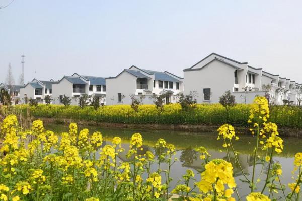 農村又要忙活了，今年農村開始實施&OpenCurlyDoubleQuote;5拆&rdquo;專案？覆蓋多數農村