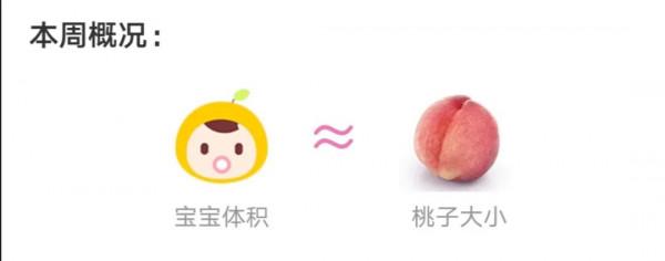 孕期口味變化大是男孩還是女孩呢