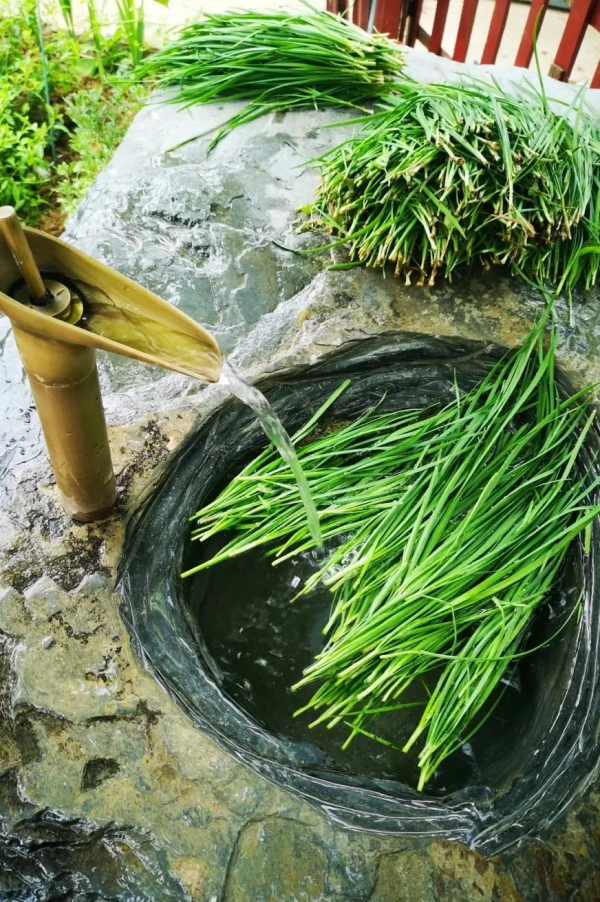 紅色旅遊還能這麼玩？這波操作我給滿分