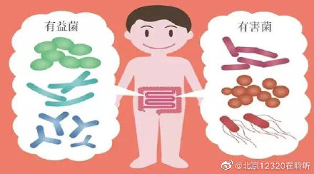 為什麼腸道有些細菌是有益的？