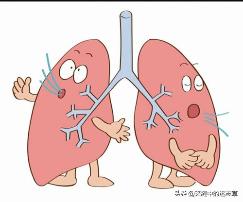 腎在志為恐，其華在發，今天好好聊聊鬚髮早白、脫髮的問題